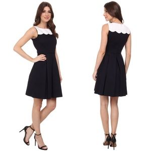 NEW Tahari ASL A Line Fit & Flare Pleated Dress Small MSRP $398